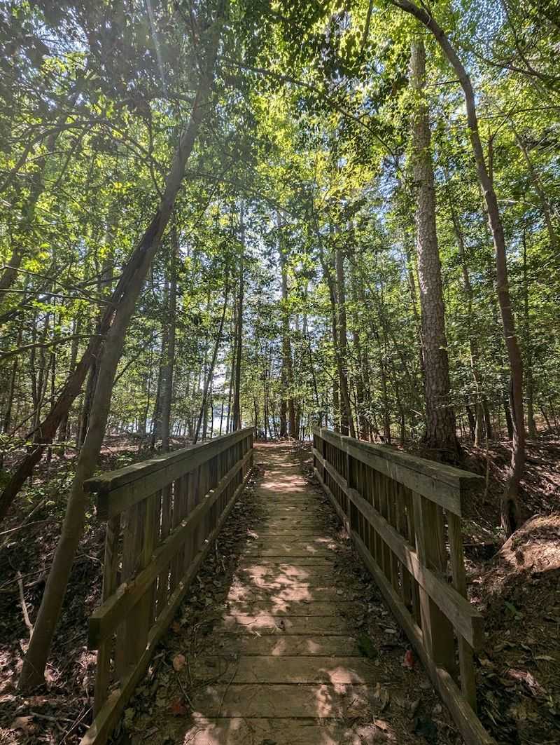 Dragonfly Trail