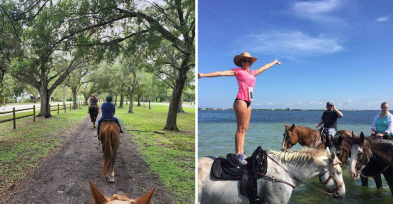 Swim Alongside Horses At This Hidden Florida Farm