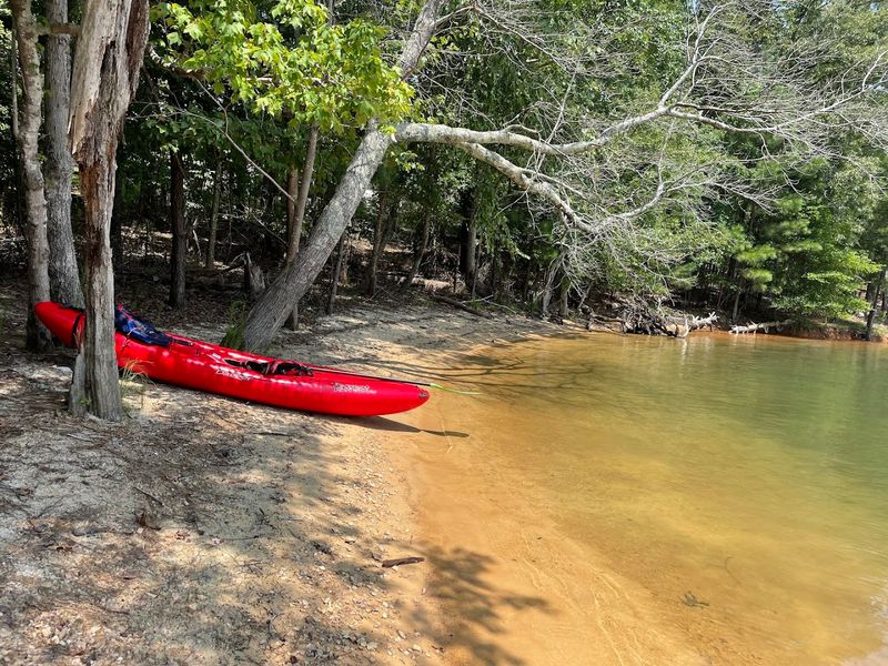 Kayaking And Paddling Through Quiet Coves