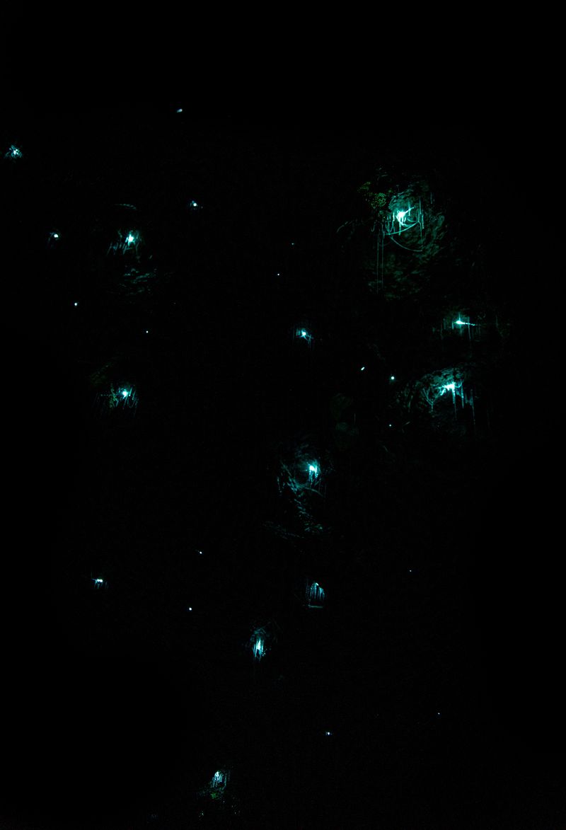 Blue Ghosts Add An Eerie Little Mountain Mystery