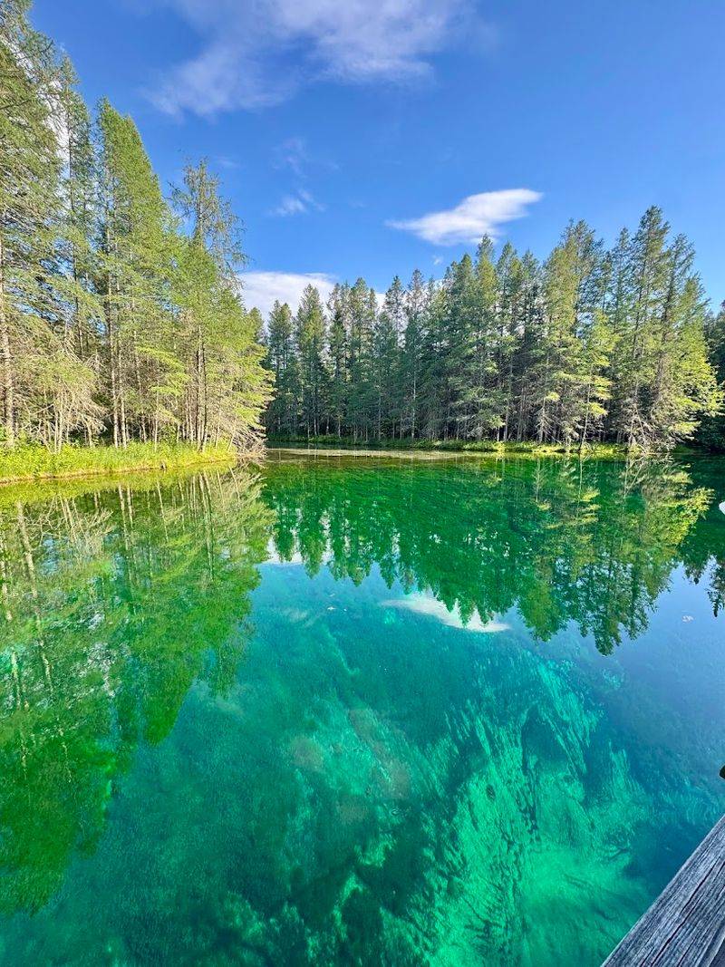 Kitch-Iti-Kipi (Palms Book State Park)