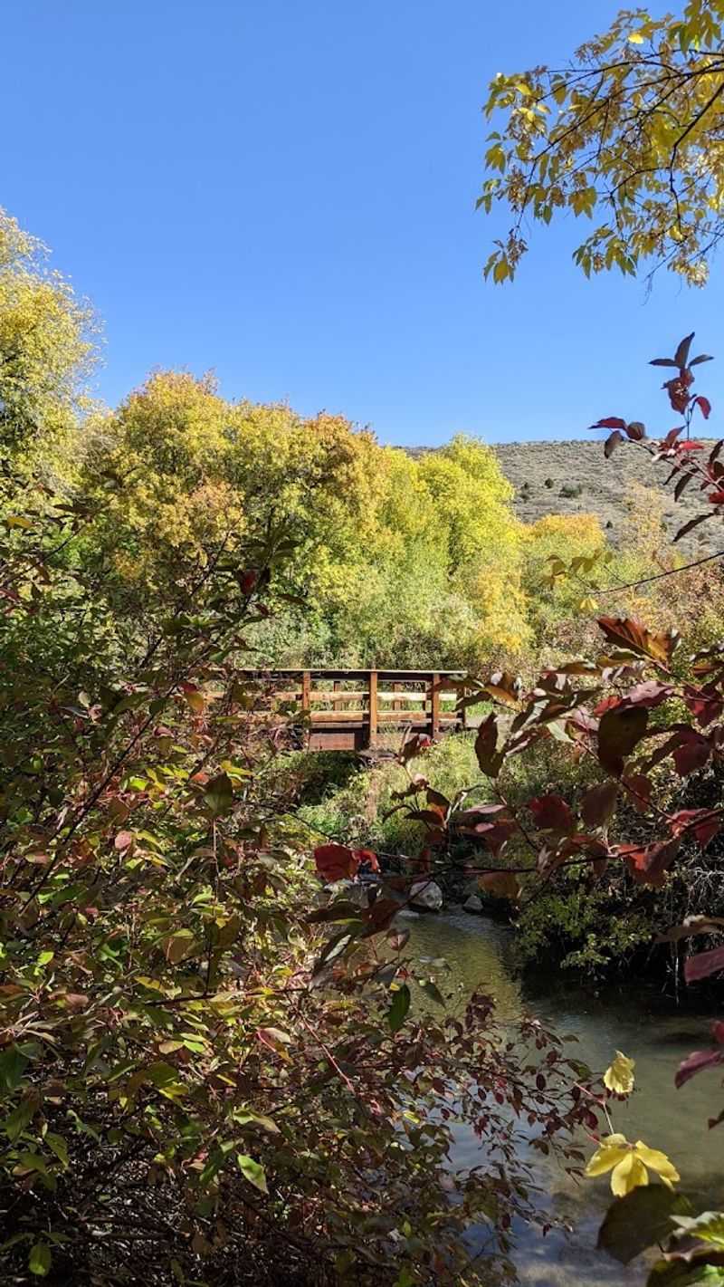 The Creek And Water Features
