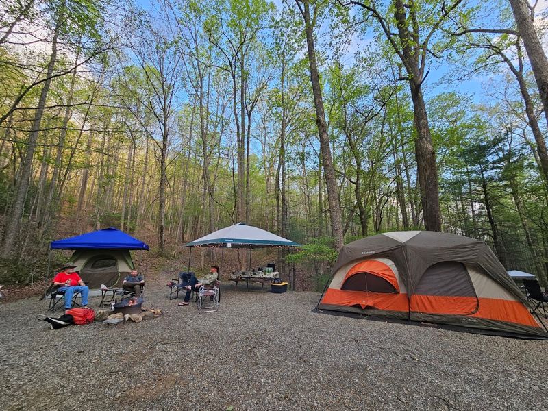 These 13 Dog-Friendly Campgrounds In Georgia You'll Want To Book - Decor Hint Trackrock Campground & Cabins, Blairsville
