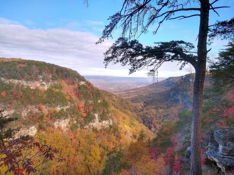 Cloudland Canyon State Park, Rising Fawn