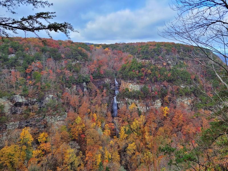 Cloudland Canyon State Park, Rising Fawn