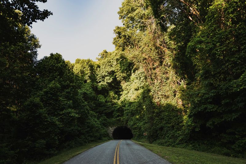 Pine Mountain Tunnel