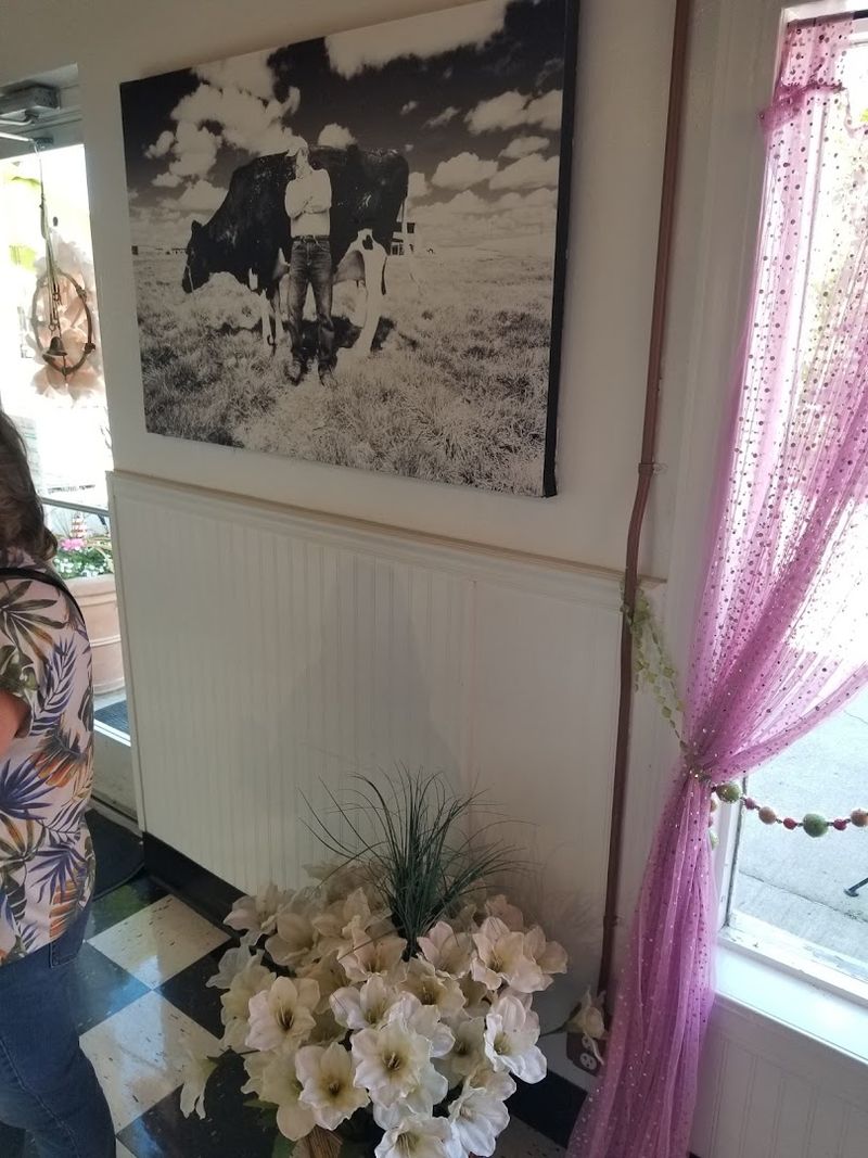 See Why The Cows Are Part Of The Story