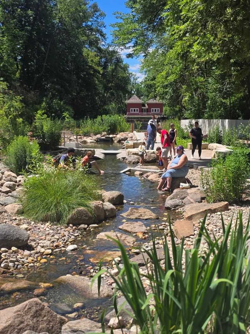 A Natural Stream Kids Will Love