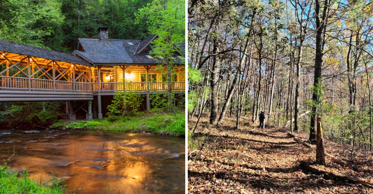 The 5844 Acre Georgia State Park That So Many People Havent Discovered - Decor Hint