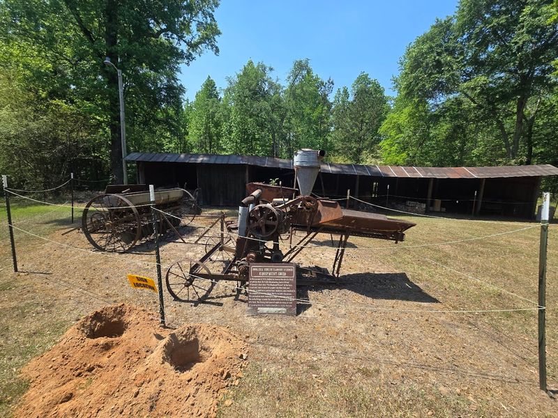 The Charming Georgia Trail Where Unexpected Peacock Encounters Make Every Visit Unforgettable - Decor Hint The Snapshot Into Rural Georgia Life In The Early 1900s