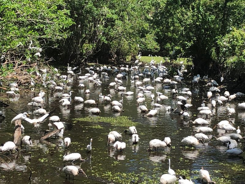 This 2-Mile Florida Trail Is Our July Hike Of The Season - Decor Hint What To Wear And Bring For A July Hike Here