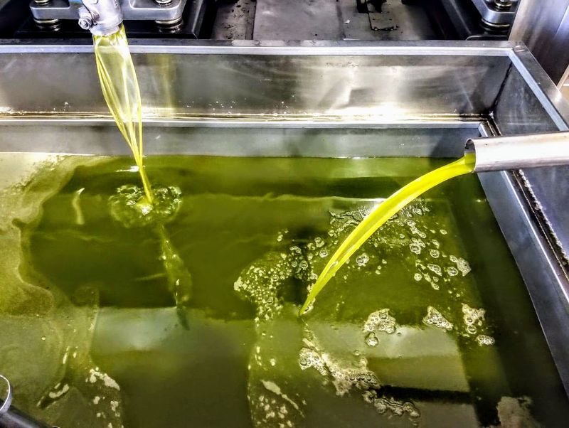 Fresh First Press Oil Anchors The Entire Market