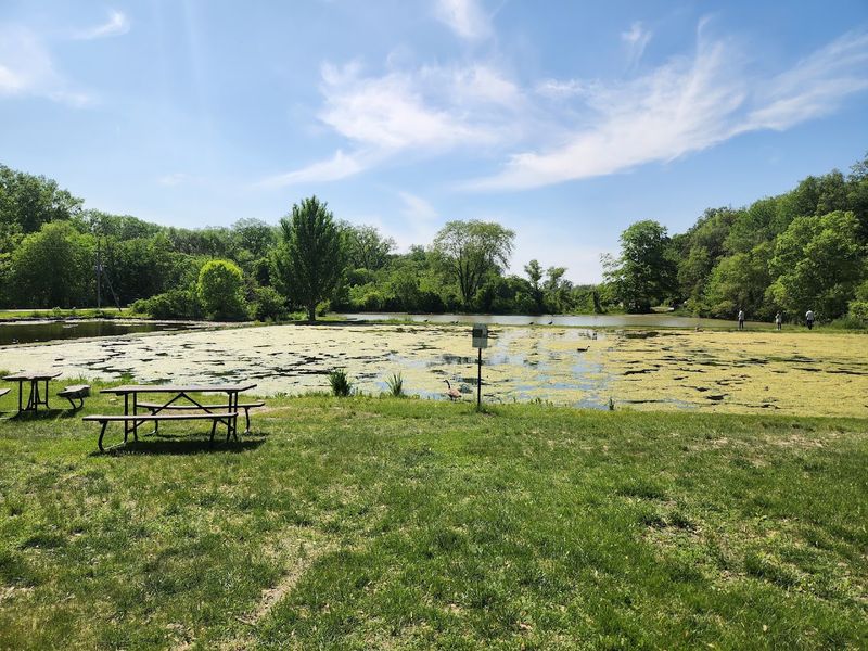 Picnicking Along The Platte River