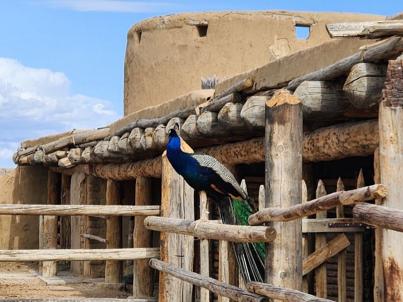 This Colorado Town Might Be The Last Affordable Paradise With Homes Below $200,000 - Decor Hint Bent's Old Fort National Historic Site