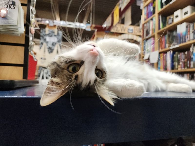 Staff That Actually Knows Books