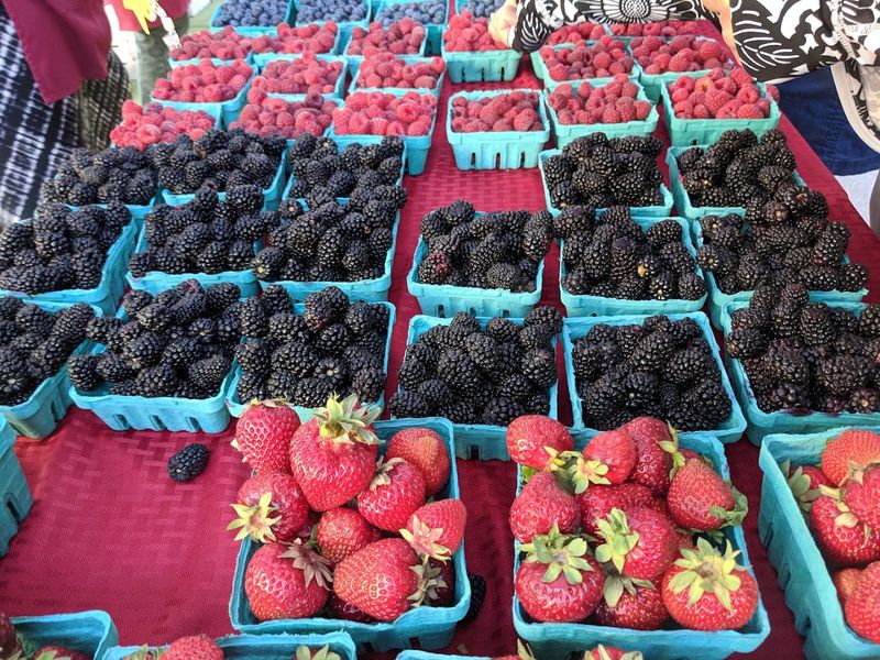 Local Farmers And Fresh Seasonal Produce