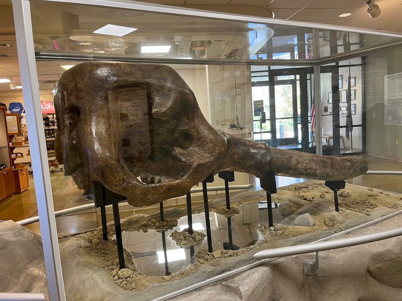 The Museum That Packs A Serious Punch
