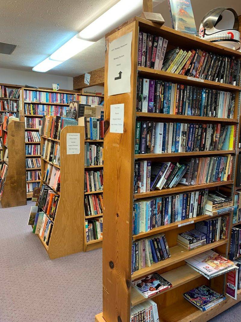 Used Books Make The Search Feel More Dangerous