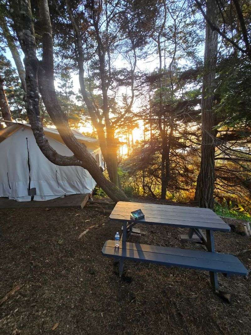 This California Glamping Retreat Puts Heated Beds And Hot Showers In A Coastal Forest - Decor Hint Outdoor Showers Add To The Forest Experience