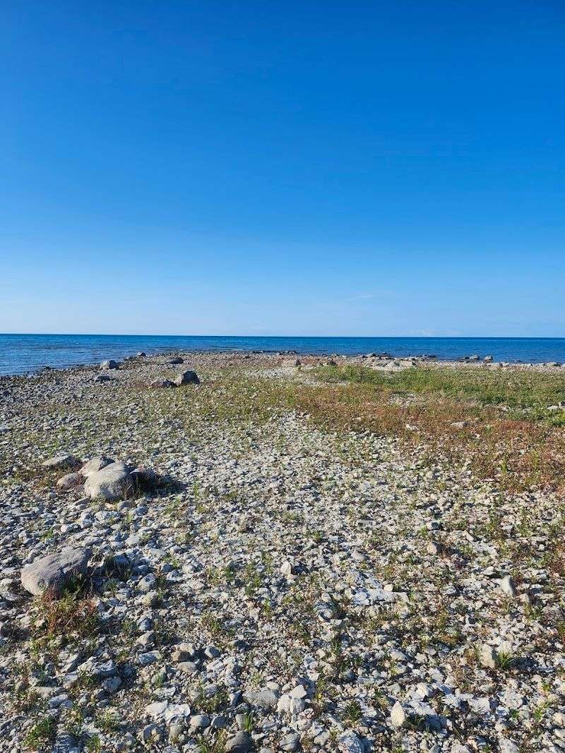 Rock Hunting Like A Pro
