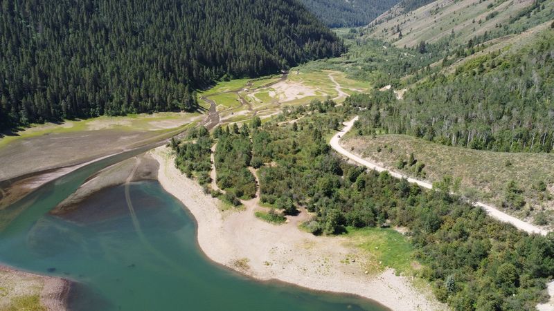 These Idaho Blueberry Farms Are Hitting Peak Picking Season With Buckets Ready - Decor Hint Deer Creek Berry Farm