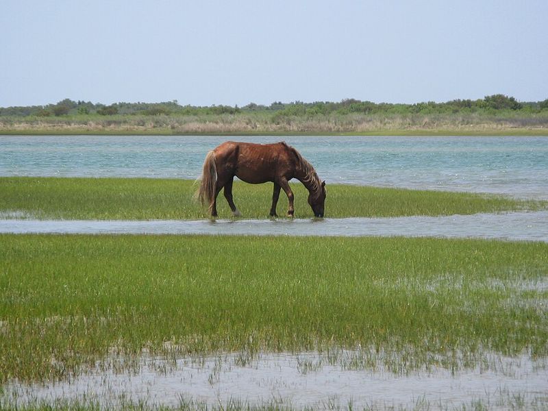 Corolla, Currituck County