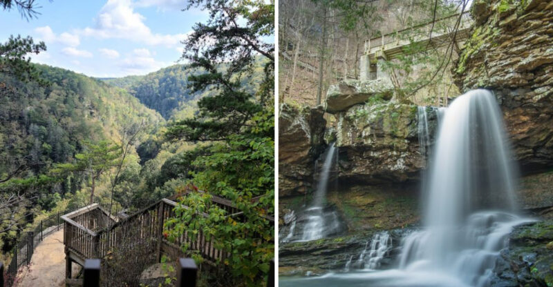 The Breathtaking State Park In Georgia That Feels Straight Out Of Jurassic Park