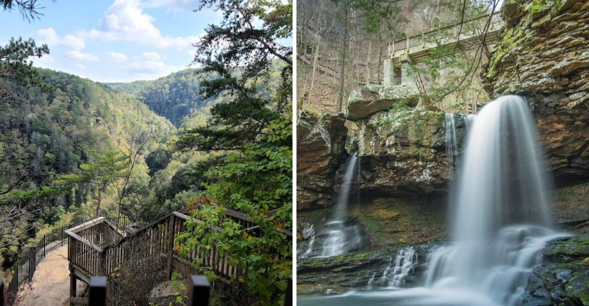 The Breathtaking State Park In Georgia That Feels Straight Out Of Jurassic Park - Decor Hint