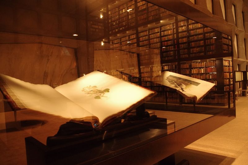 Rare Books Feel Magical In Person