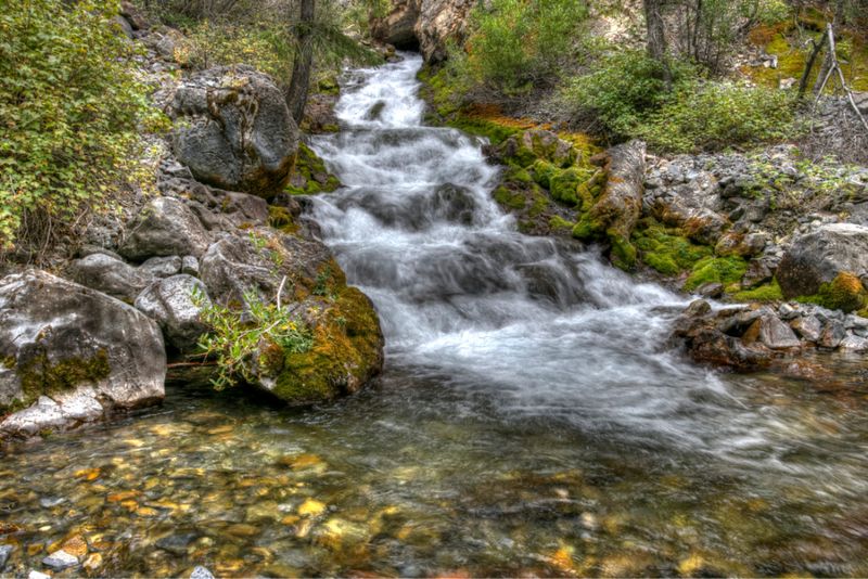 Cedar Creek Keeps The Trail Moving Beside You