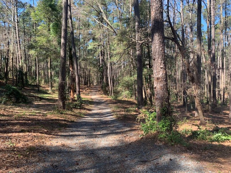 Local Parks Push Back Against The Gloomy Label