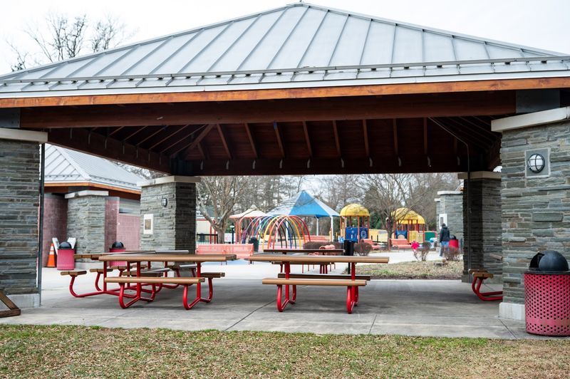 Shade, Seating, And Picnic Perfection