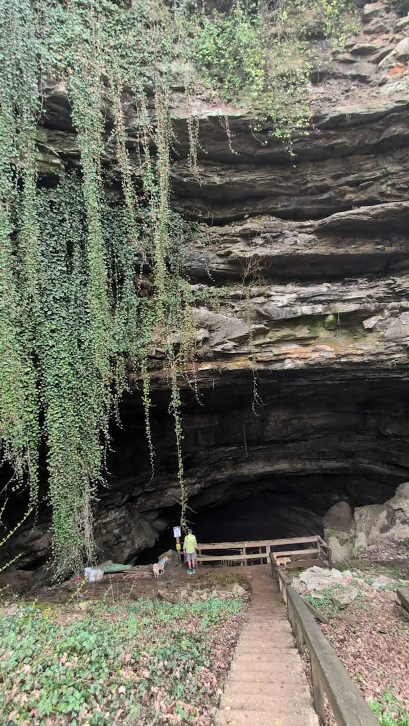 This Kentucky Town Was Built Directly Over A Living Cave And Most Visitors Have No Idea - Decor Hint Hidden River Cave And The American Cave Museum