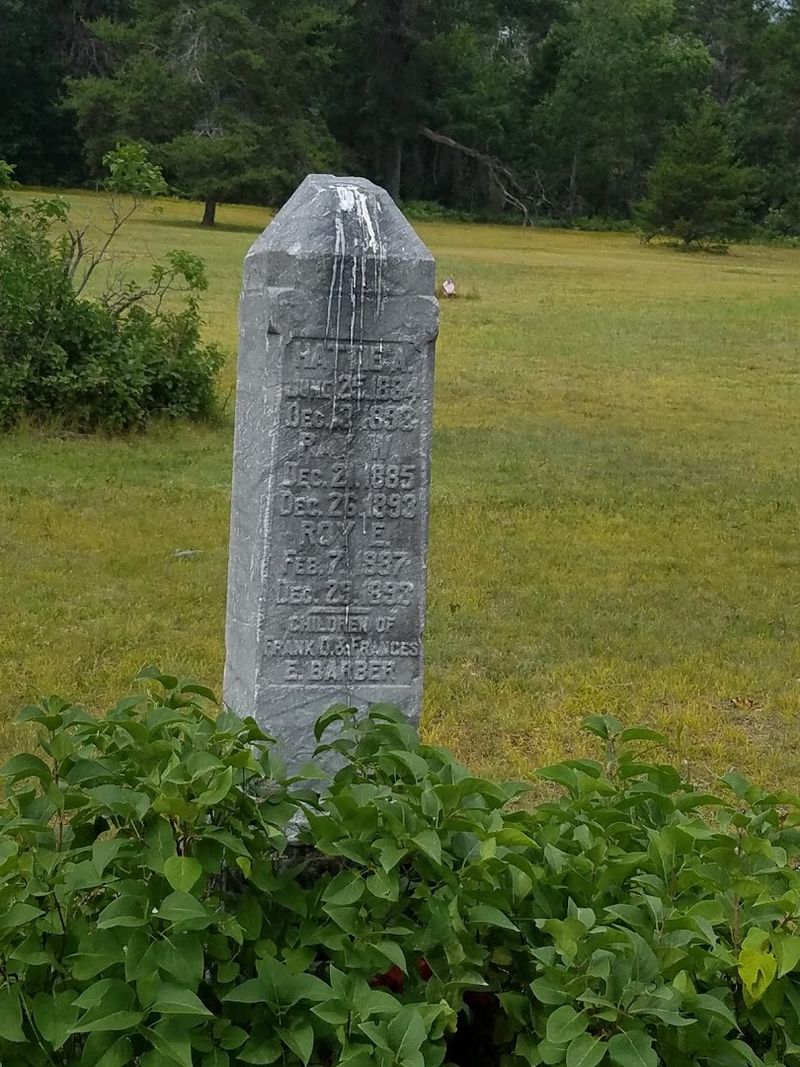 A Creepy Ghost Town Is Hidden In Michigan And It Feels Straight Out Of A Horror Movie - Decor Hint Why So Many Children Are Buried Here