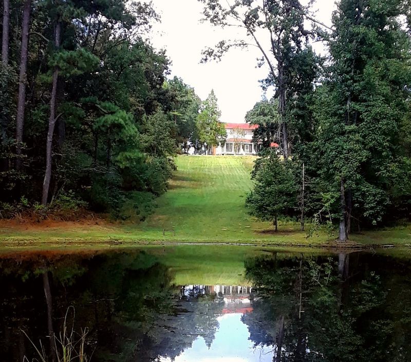 The Charming Georgia Trail Where Unexpected Peacock Encounters Make Every Visit Unforgettable - Decor Hint The Peaceful Rural Georgia Atmosphere