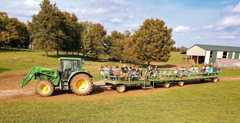 A Kids Playground That Goes Way Beyond A Swing Set