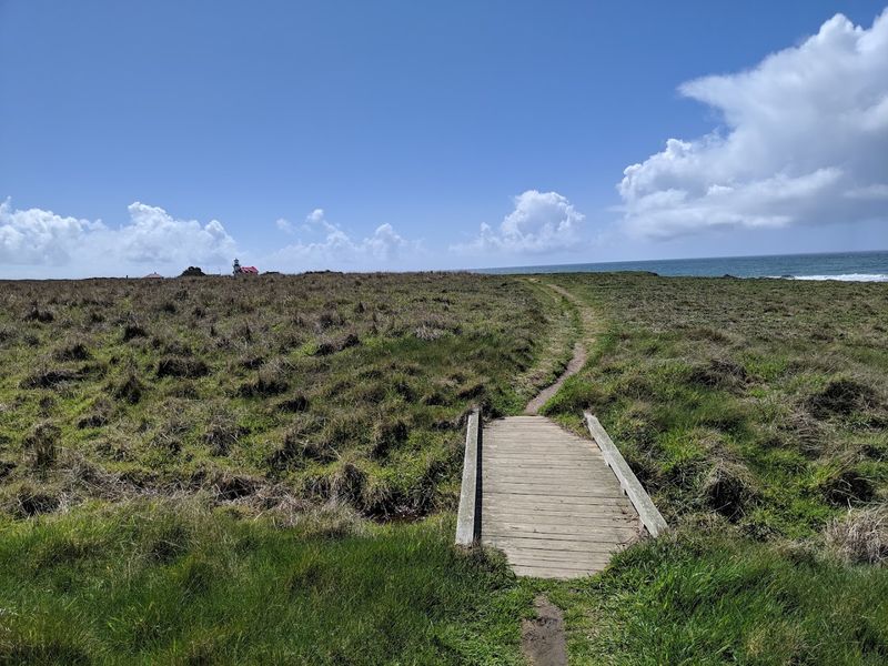 This Historic Northern California Lighthouse Sits Beside A Secluded Cove With A Fascinating Past - Decor Hint Coastal Trails Lead Toward The Cove