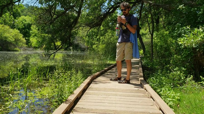 This Underrated California State Park Has Lakeside Cabins, Woodland Trails And One Of America's Best Bass-Fishing Lakes - Decor Hint A Short Trail Explores The Area's Pomo Heritage