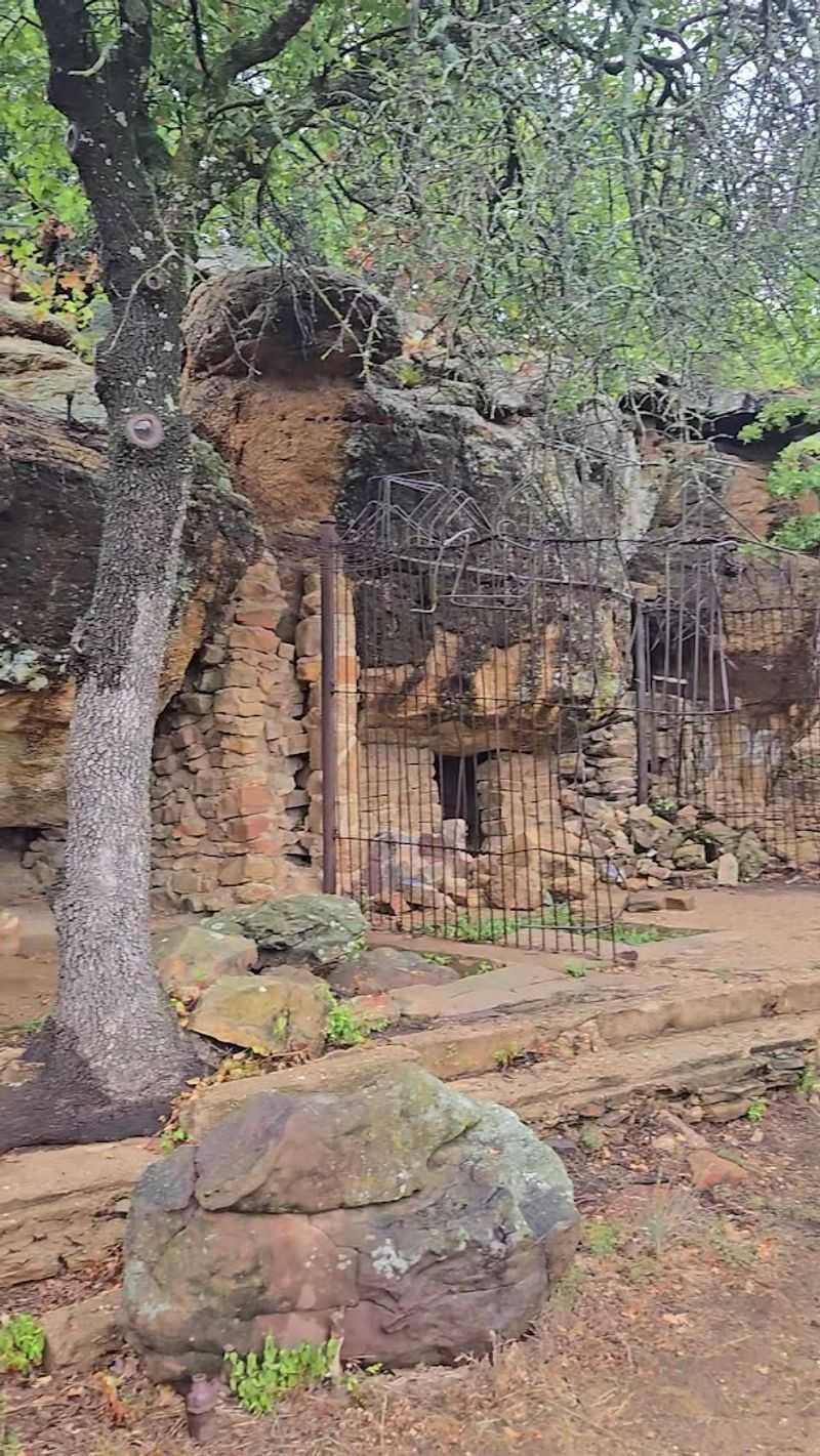 A Zoo That Time Forgot