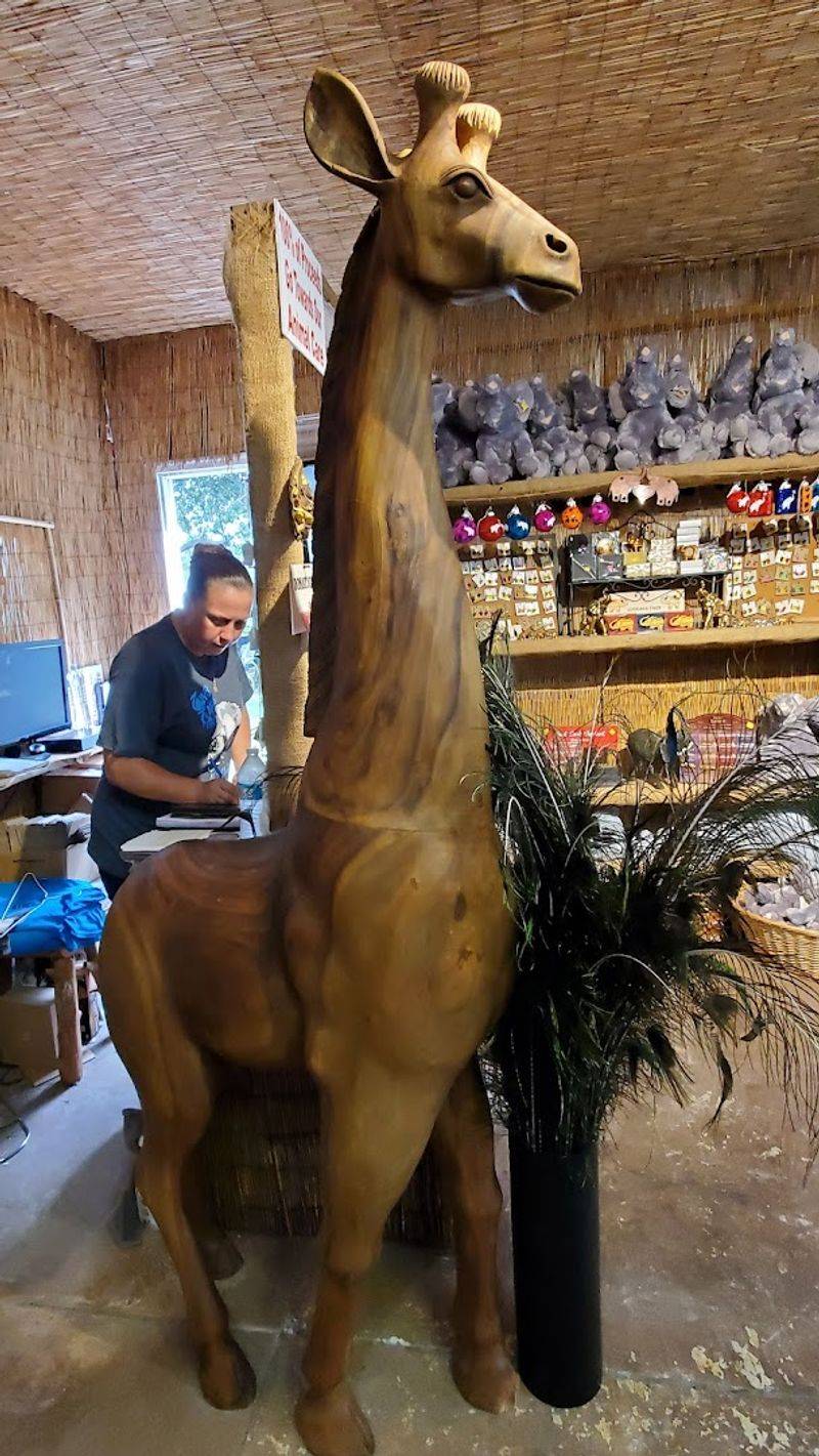 The Gift Shop And Little Museum