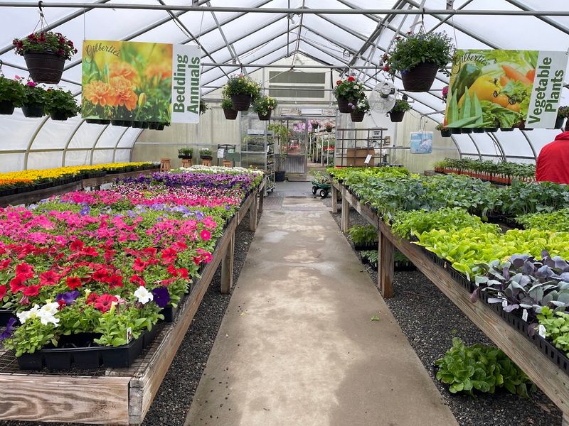 This Connecticut Herb Farm Is Filled With Fragrant Gardens Most People Never Knew Existed - Decor Hint Spring Brings The Broadest Plant Selection