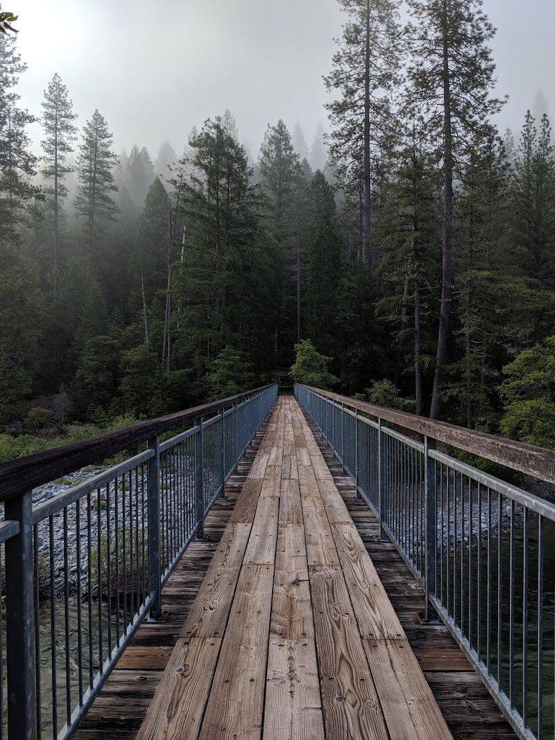 The North Yuba Trail Offers A Quieter Adventure