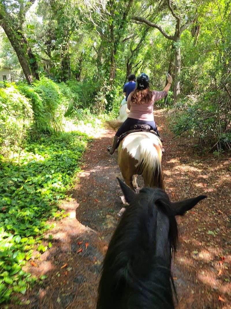 Trail Rides For Every Skill Level