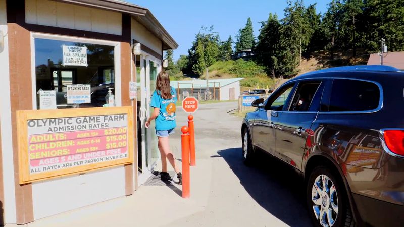 The Drive-Through Experience Explained