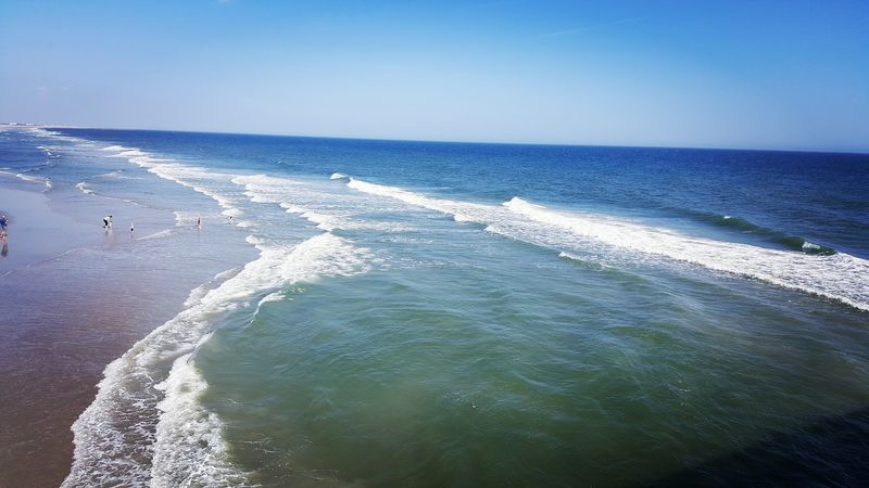 Surfing Culture 