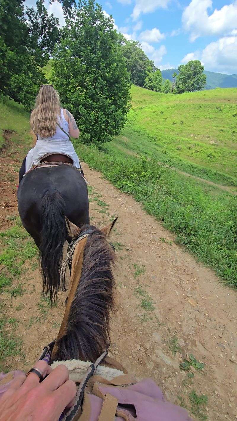 The Landscape Along The Trail
