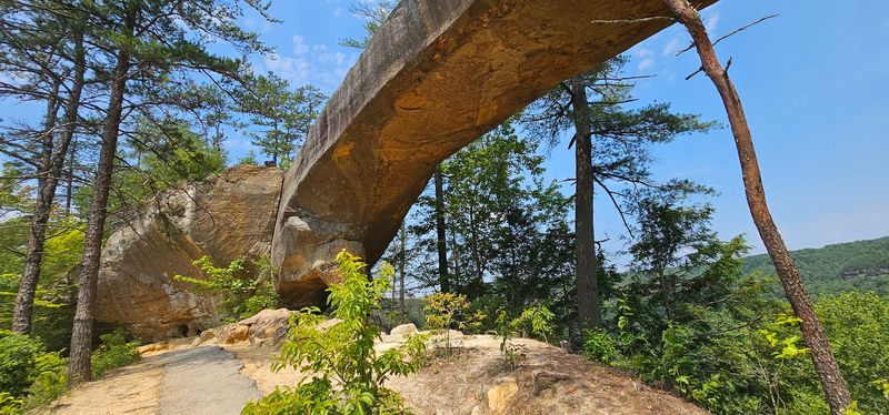 Hand-Carved History Inside The Rock
