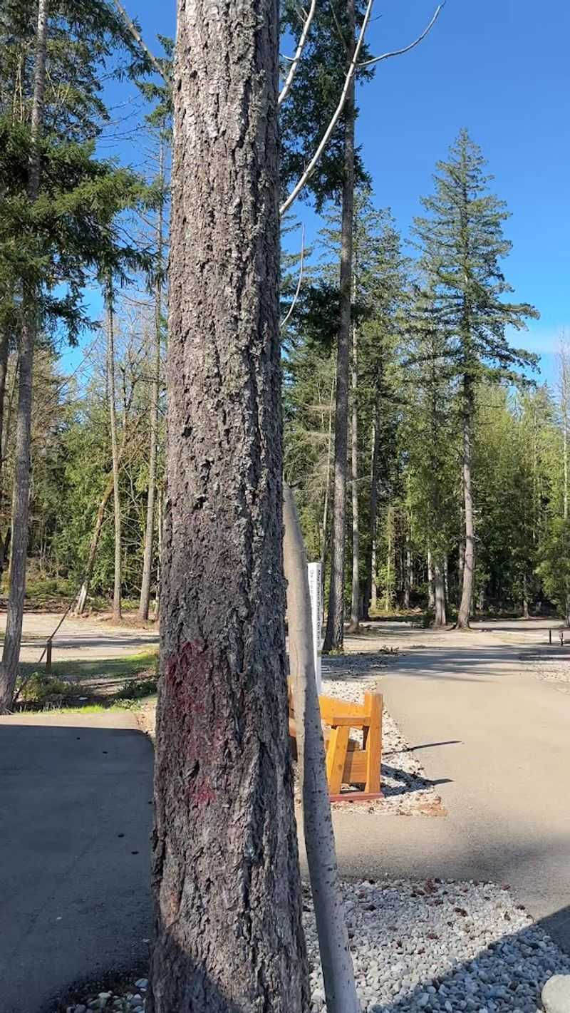 Washington's Most Enchanting Hidden Gnome Trail Will Spark Your Inner Child - Decor Hint Parking, Restrooms, And Picnic Spots Make It Genuinely Convenient