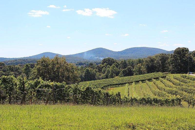 If Italy Is On Your Travel List, You Need To Visit This Gorgeous Georgia Destination First - Decor Hint Panning For Gold Like It Is 1828