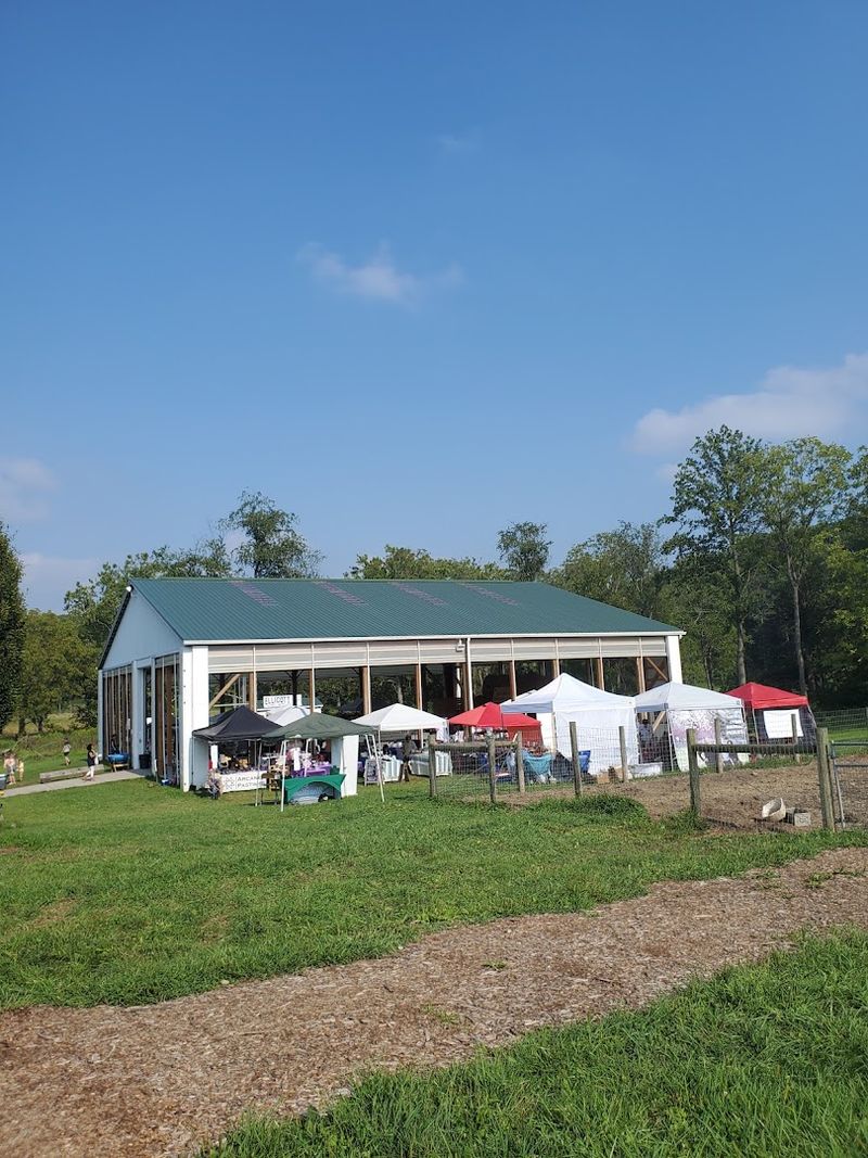 This Sunflower Field In Maryland Captures Peak Summer Magic - Decor Hint Hosting Events On The Farm